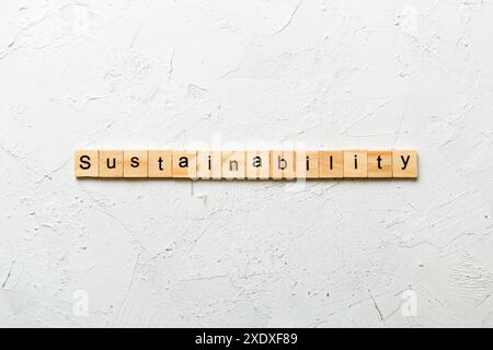 Sustainability word written on wood block. Sustainability text on table, concept. Stock Photo