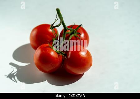 Four red ripe tomatoes on one green branch on a white table. Stock Photo