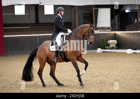 S Dressage Riding in Darmstadt Kranichstein Winter-Tour IV Stock Photo