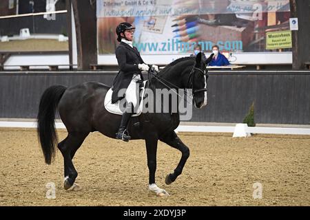 S Dressage Riding in Darmstadt Kranichstein Winter-Tour IV Stock Photo