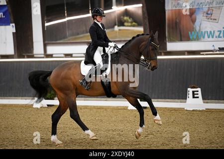 S Dressage Riding in Darmstadt Kranichstein Winter-Tour IV Stock Photo