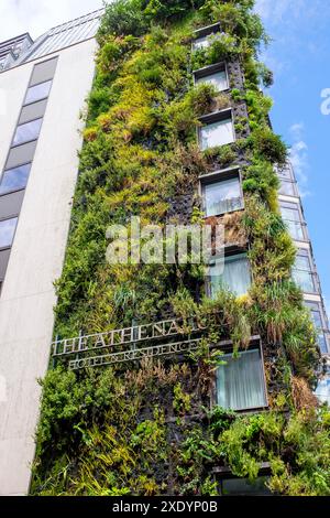 The Athenaeum Hotel & Residences with its living walll  , Piccadilly , London , England , UK Stock Photo