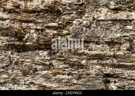 Stone wall with green moss Stock Photo