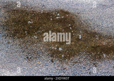 A close examination of a water pool on the grounds surface, featuring water, soil, asphalt, metal, grass, and a unique pattern created by the fluids a Stock Photo