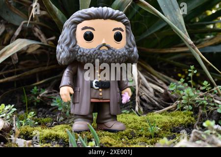 Funko Pop action figure of gamekeeper half-giant Hagrid with umbrella from fantasy movie Harry Potter. Fabulous forest, moss, plants, leaves, grass. Stock Photo