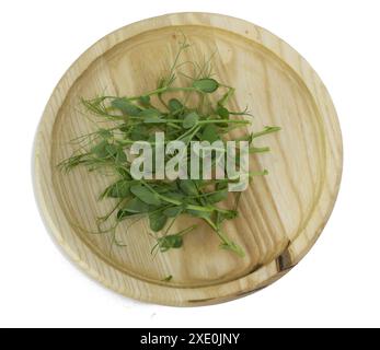 Shoots of young green pea microgreens in a wooden bowl, top view of tasty and healthy plants isolated on white background. Stock Photo