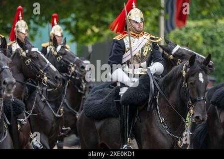 London, UK. 25th June, 2024. State visit of Emperor Naruhito and Empress Masako of Japan to the UK, the royal party leave Horseguards Parade on one of the hottest days of the year Credit: Ian Davidson/Alamy Live News Stock Photo