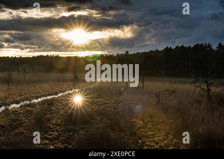 Sunset in the Dubringer Moor Stock Photo