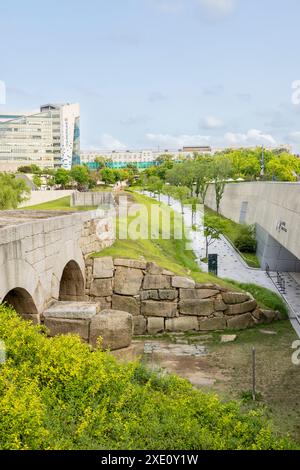 Old Korean City Wall, Dongdaemun , Seoul, South Korea Stock Photo