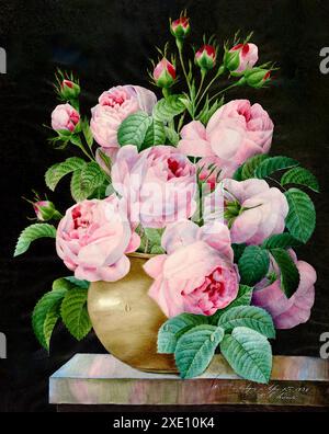 Pierre-Joseph Redout、The Roses68、希少画集画 Pierre-Joseph Redouté - Pink Roses in a Vase - 1838 Stock Photo