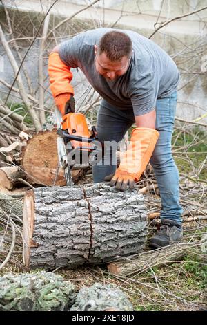 lumberjack on a ladder for cutting a tree Stock Photo