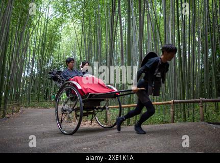 Japanese rickshaw (jinrikisha) in arashiyama street, Japan Stock Photo ...