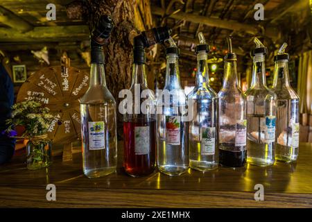 The Weißalm serves home-distilled schnapps from seven bottles fitted with pouring spouts on its bar on the Almenweg trail in the Großarl Valley, Salzburg, Austria. Alongside Swiss stone pine schnapps, juniper and rowanberry schnapps are among the specialities, with a wheel of fortune listing the different flavours hanging in the background. Stock Photo