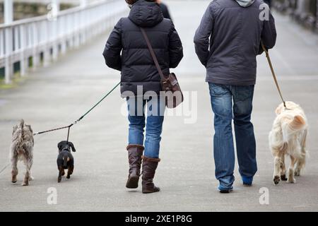 Couple walking dogs, Gijón, Asturias, Spain. Stock Photo