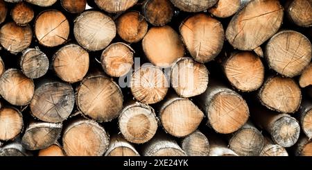 Round logs of firewood are stacked in the form of a wall. Stock Photo