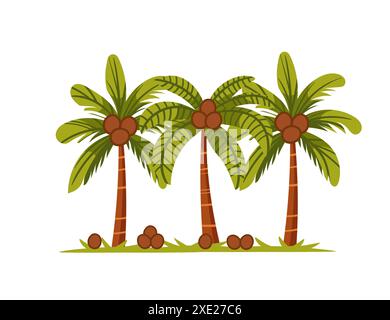 Tropical green palm trees with leaves and coconuts simple cartoon design vector illustration isolated on a white background. Stock Vector