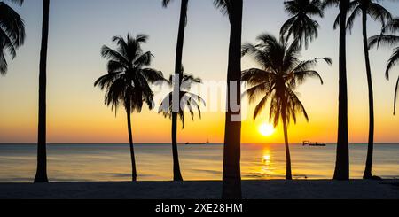 Nature's beauty shines as the sun sets behind the striking palm tree silhouettes. Stock Photo