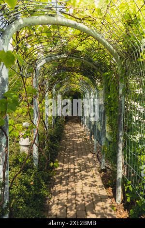 Botanical garden on the roof of the Warsaw University library modern architecture and greenery. Sustainable building architectur Stock Photo