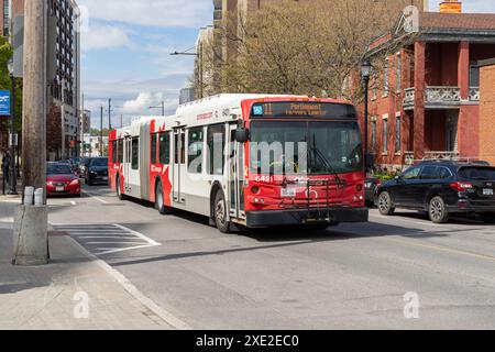 Ottawa, Canada - May 11, 2024: Public bus on the road, OC Transpo Stock Photo