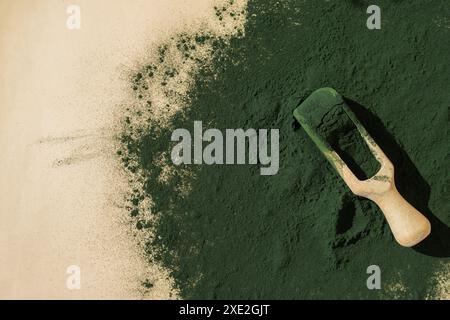 Natural organic green spirulina algae powder in wooden spoon on neutral background. Chlorella seaweed vegan superfood supplement Stock Photo