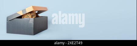 A red cat is hiding in a box. Stock Photo