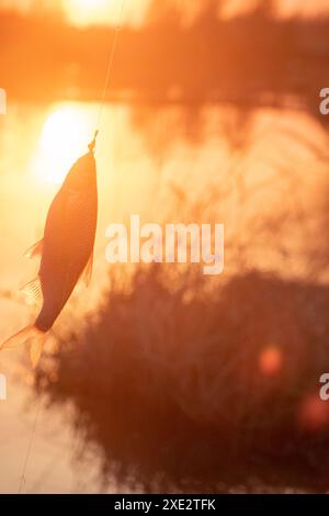 Gambling fishing on river in evening Stock Photo