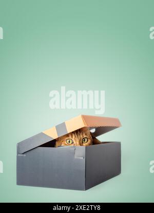 A red cat is hiding in a box. Stock Photo