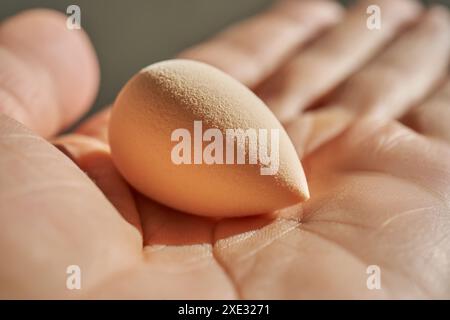 Small sponge in a woman's hand. Stock Photo