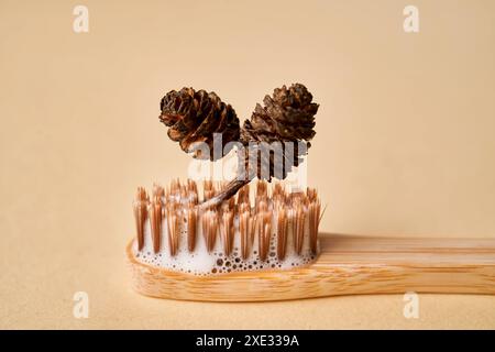 Toothbrush with toothpaste foam on a background of pine needles and cones. Stock Photo