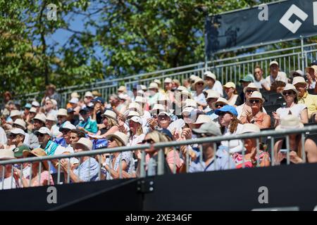 Bad Homburg, Hessen, Germany. 25th June, 2024. Impressions during the BAD HOMBURG OPEN presented by SOLARWATTT- WTA500 - Womens Tennis (Credit Image: © Mathias Schulz/ZUMA Press Wire) EDITORIAL USAGE ONLY! Not for Commercial USAGE! Stock Photo