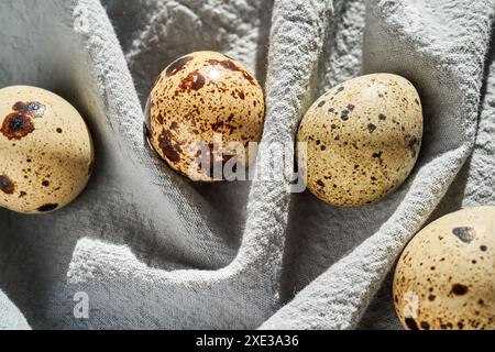 Quail eggs on a blue apron close-up. Stock Photo