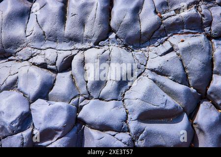 Textured Blue Clay with Cracks and Debris Close-Up Stock Photo