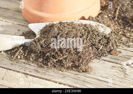 Peat-free potting-soil Stock Photo