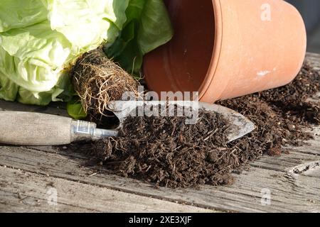 Peat-free potting-soil Stock Photo