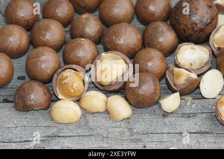 Macadamia nuts Stock Photo