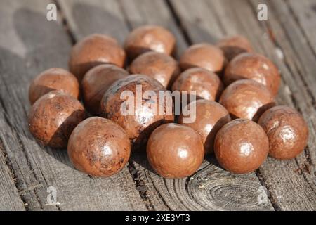 Macadamia, nut Stock Photo