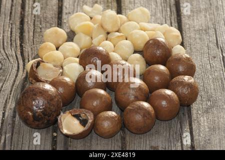 Macadamia, nut Stock Photo