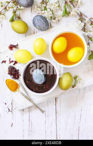 Natural dye for easter eggs, celebration Easter. Homemade colored easter eggs in carcade and turmeric on a rustic table. Top vie Stock Photo