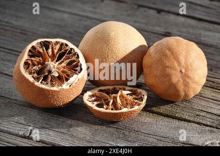 Citrus, Citrusfruechte, getrocknet, dried Stock Photo
