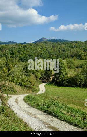 path along the forest edge of Rudnik Mountain in central Serbia, Rudnik literally means "mine" in Serbian Stock Photo