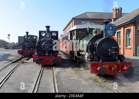 Steam locomotives Dolgoch, Talyllyn and No 3 at Tywyn Station on the Talyllyn narrow gauge heritage railway, Wales. Stock Photo