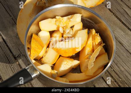 Cucurbita, Kuerbis, pumpkin Stock Photo