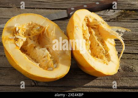 Cucurbita, Kuerbis, pumpkin Stock Photo