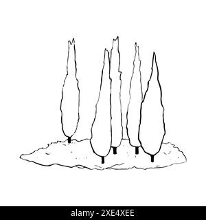 Cypress trees grove simple line illustration Stock Vector
