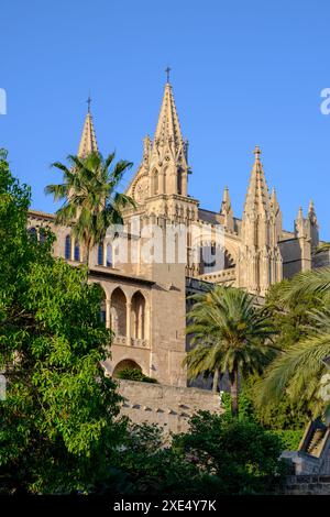 Almudaina Palace and cathedral Stock Photo