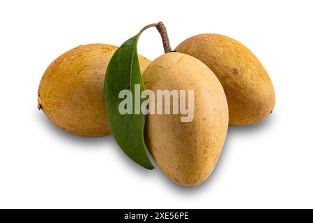 Ripe sapodilla fruits with green leaf isolated on white background Stock Photo