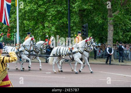 London, UK, 25th June 2024, It was the State Visit of the Japanese Emperor to the UK. Taking place on a hot summer day, crowds gathered on the Mall in London to greet King Charles and Queen Camilla and Emperor Naruhito and his Empress Masako., Andrew Lalchan Photography/Alamy Live News Stock Photo