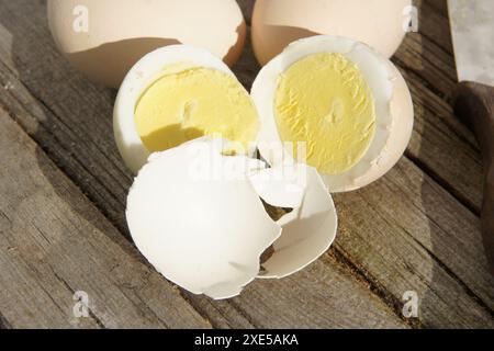 Eggs, shell Stock Photo