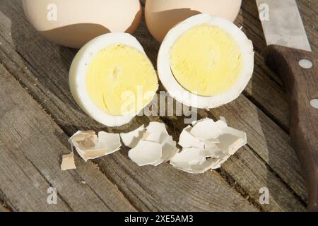 Eggs, shell Stock Photo