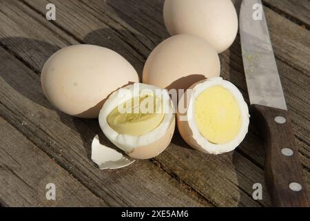 Eggs, hard-boiled Stock Photo